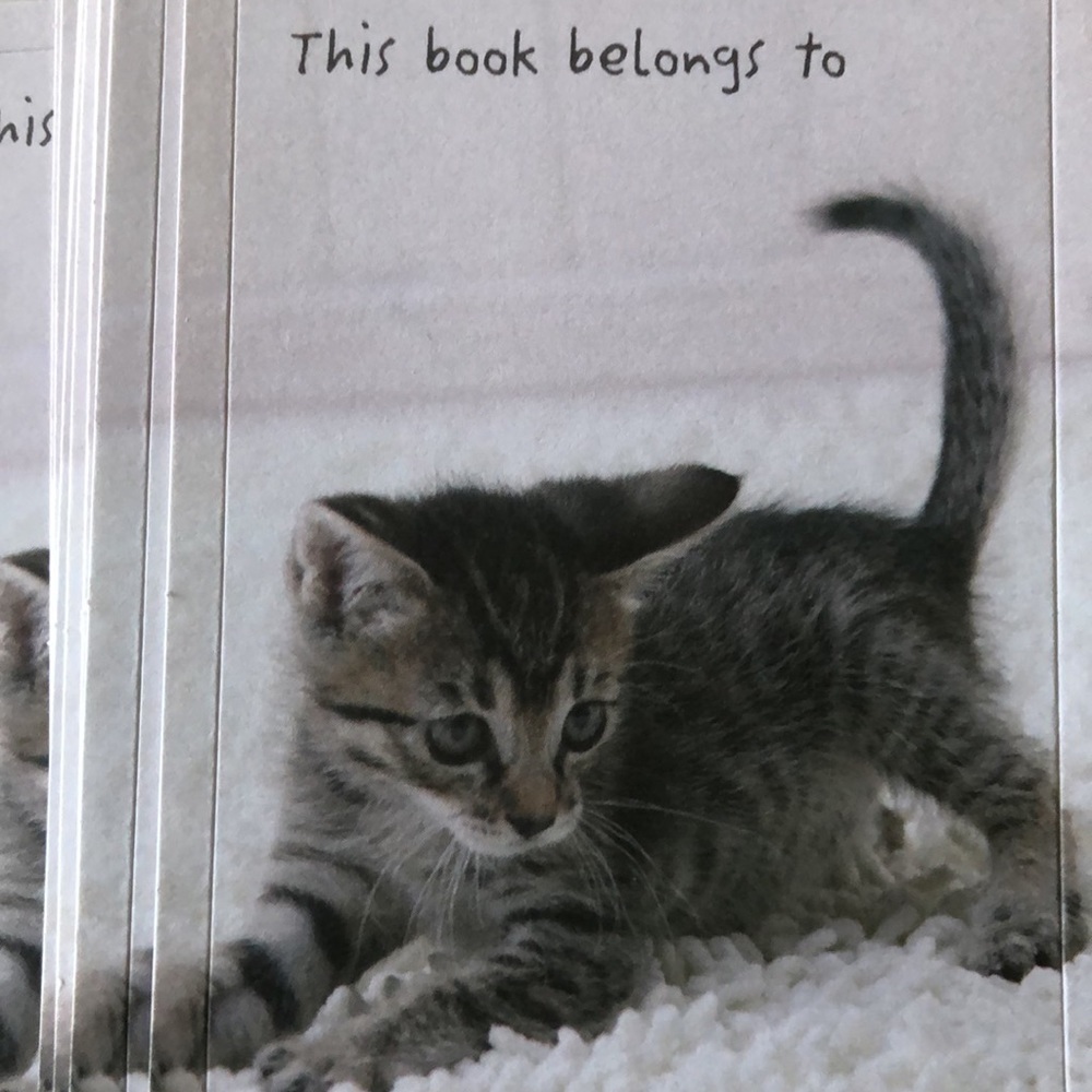 Kitty Cat Book Stickers - Set of 2 - Picture 2 of 3